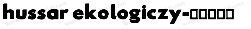 hussar ekologiczy字体转换